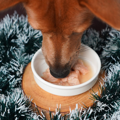 Braised Pork - Holiday Braise with Bone Broth for Dogs & Cats