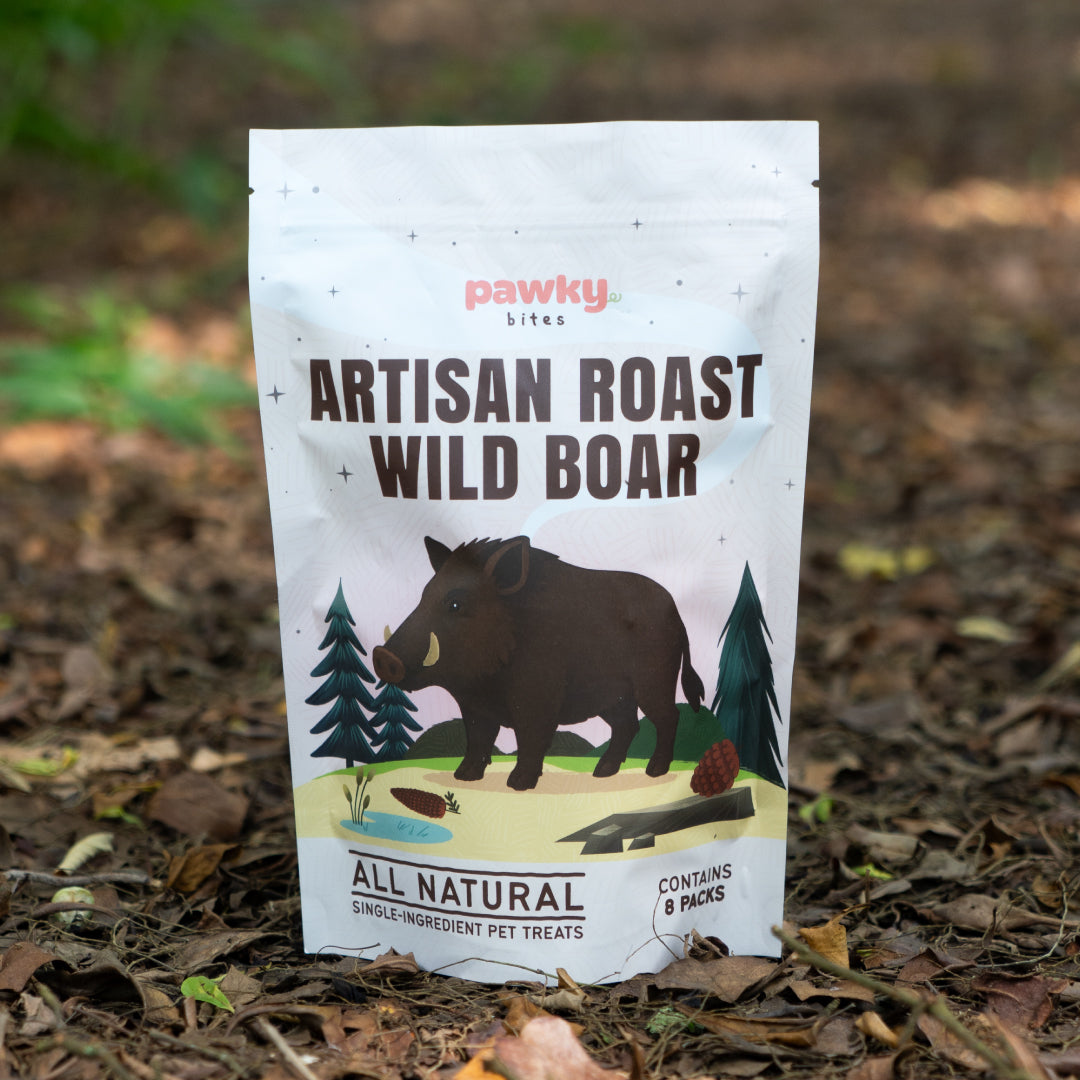 Artisan Roast Wild Boar – 100% Wild Protein for Pets