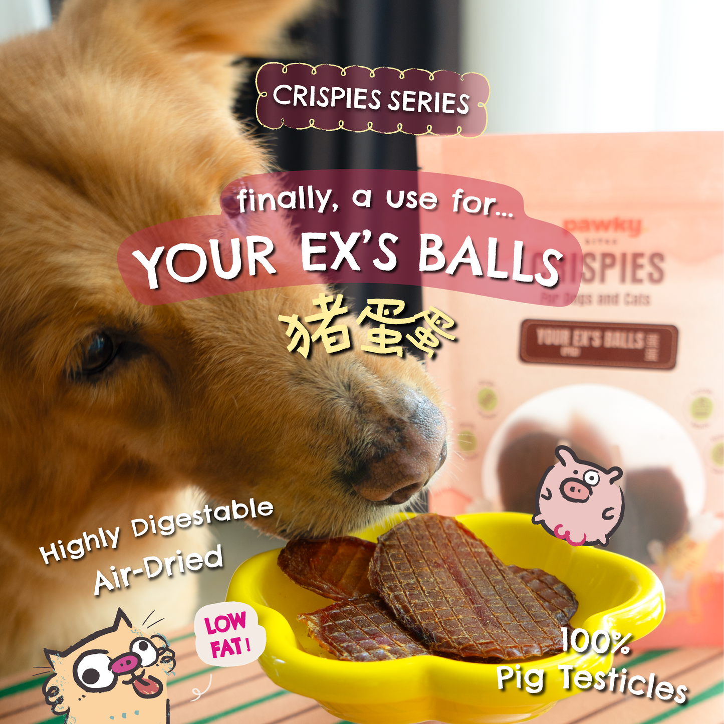 Your Ex's Balls | aka Air-Dried Pig Testicles 猪蛋蛋