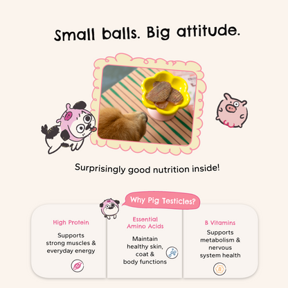 Your Ex's Balls | aka Air-Dried Pig Testicles 猪蛋蛋