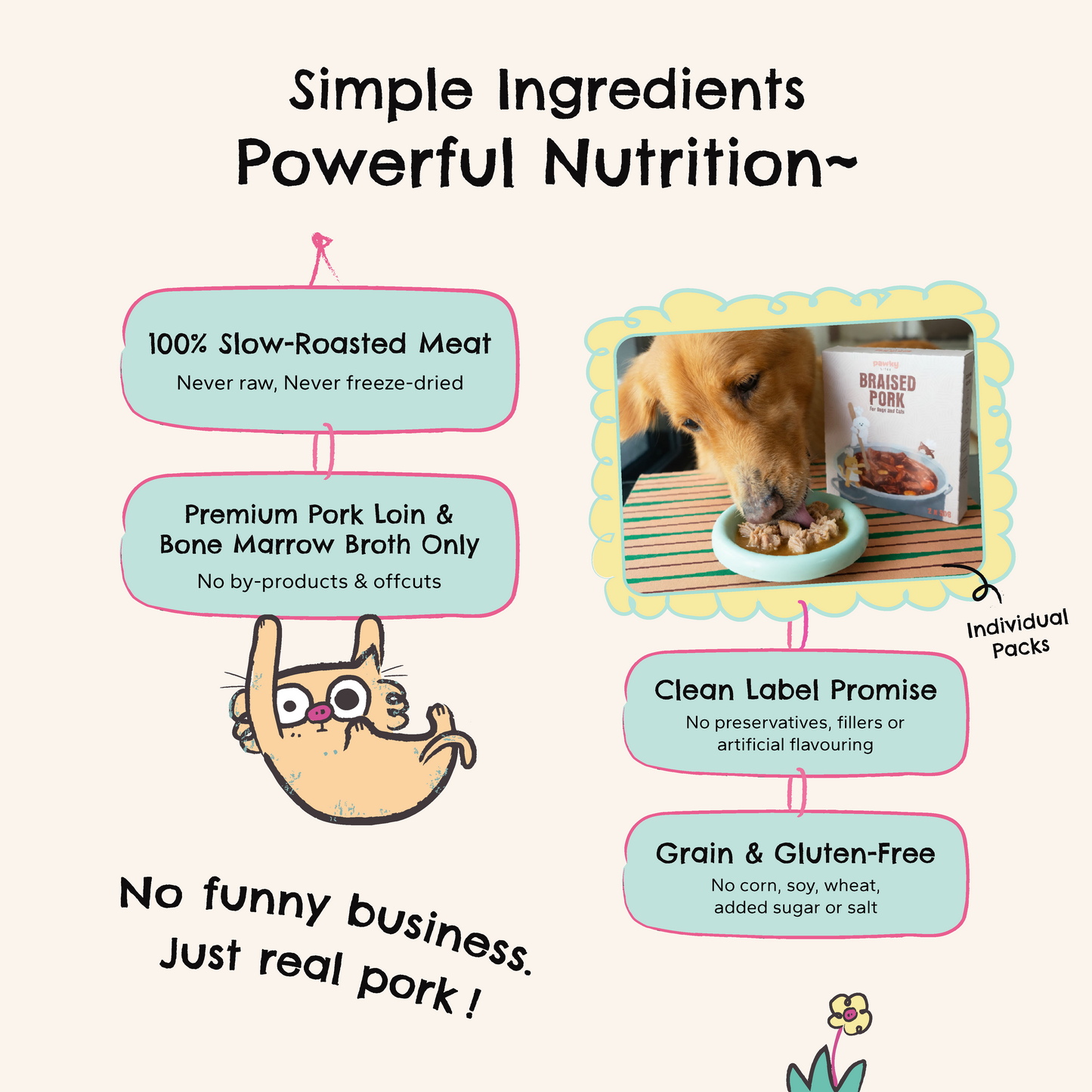 Braised Pork - Pork Slow-Simmered with Bone Broth for Dogs & Cats
