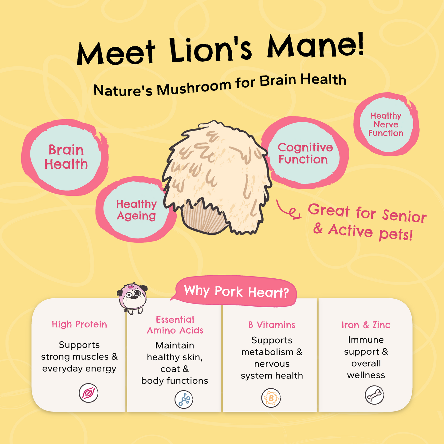 Pork Loin + Lion's Mane | Brain Wellness Air-Dried Treats