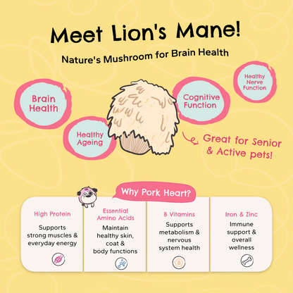 Pork Loin + Lion's Mane | Brain Wellness Air-Dried Treats