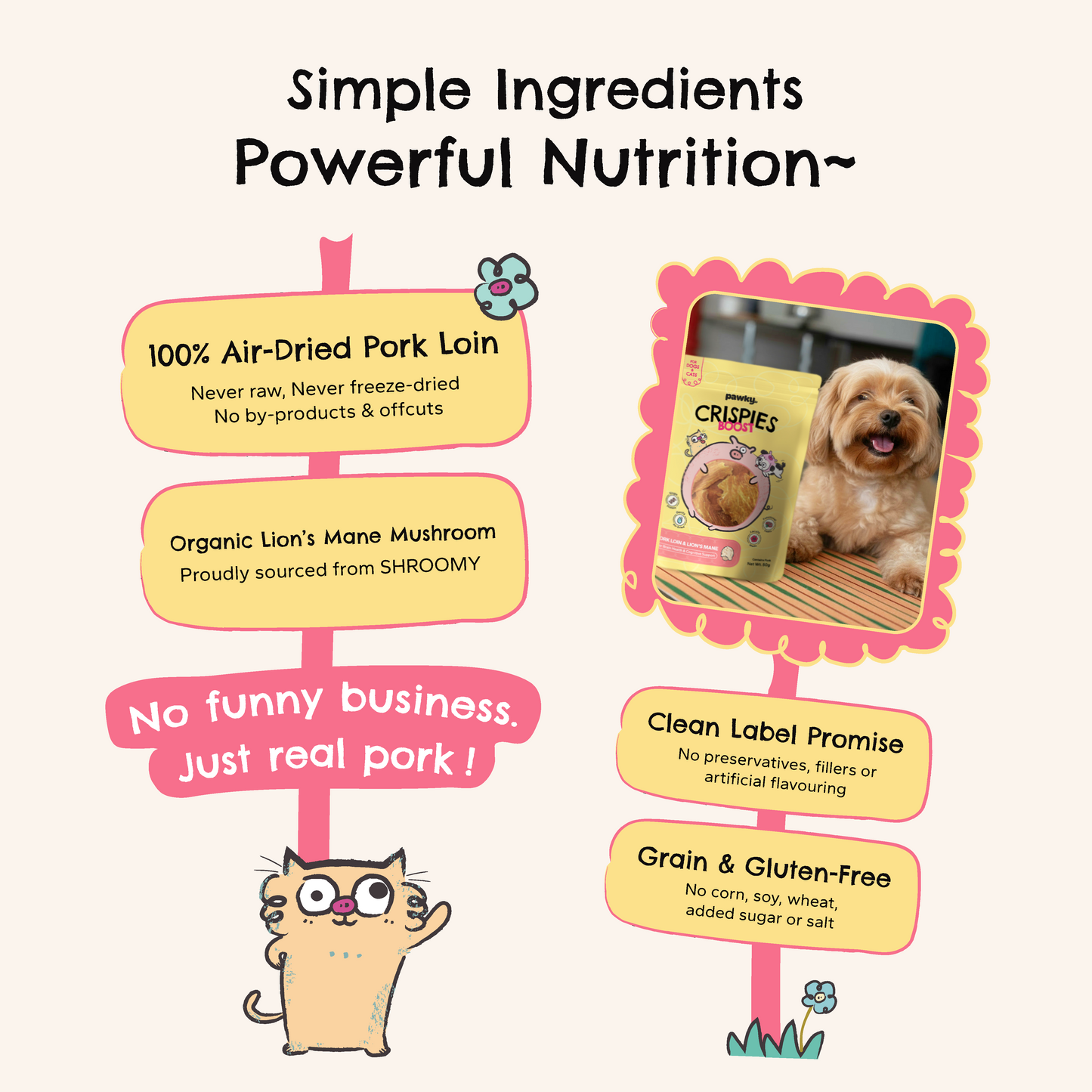 Pork Loin + Lion's Mane | Brain Wellness Air-Dried Treats