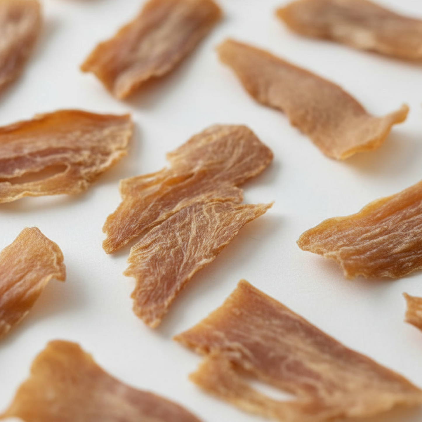 Pork Loin + Lion's Mane | Brain Wellness Air-Dried Treats