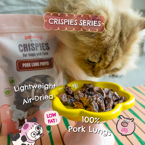 Pork Lung Puffs – Light & Airy Bites for Dogs & Cats