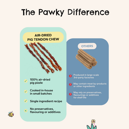 Air-Dried Pig Pizzle | Natural Dental Chews