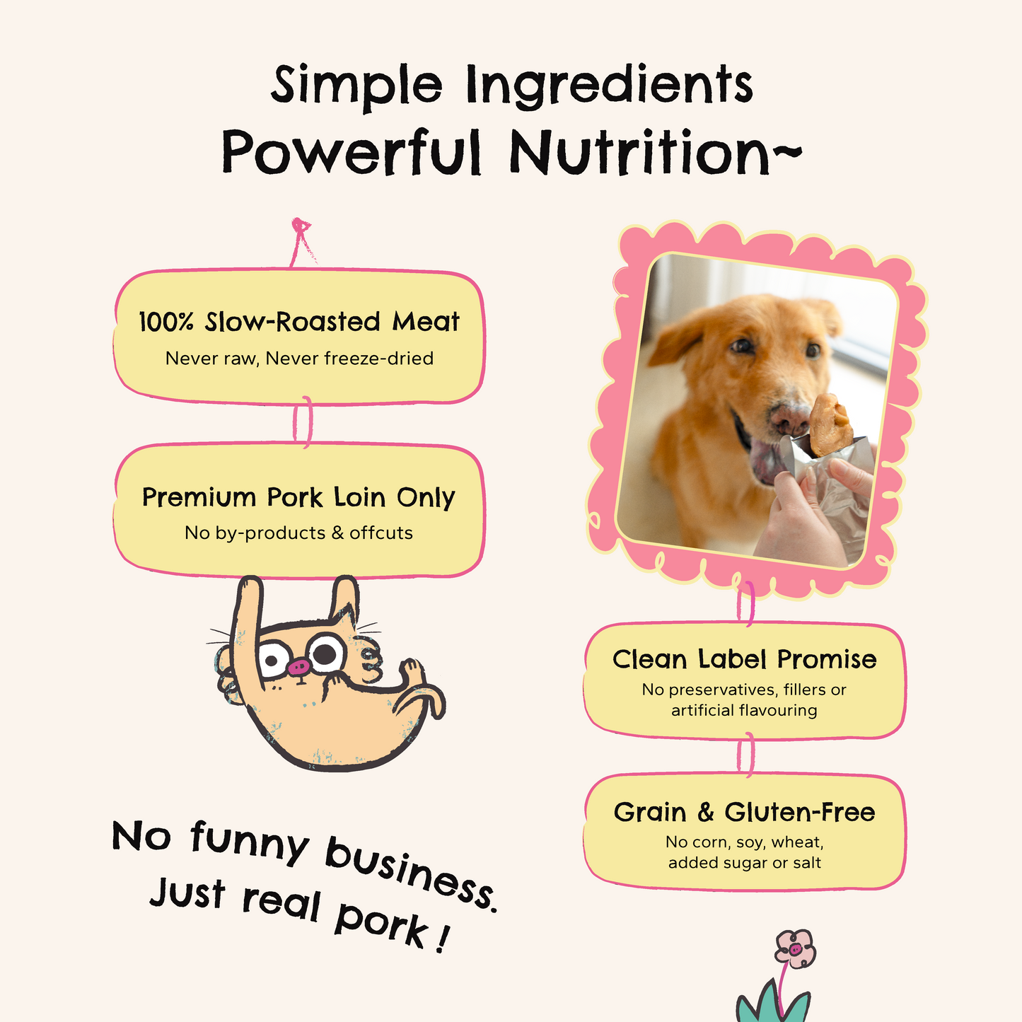Artisan Roast Pork – Slow-Roasted Protein for Dogs & Cats