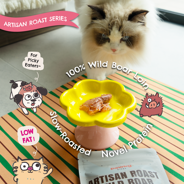 Artisan Roast Wild Boar – 100% Wild Protein for Pets