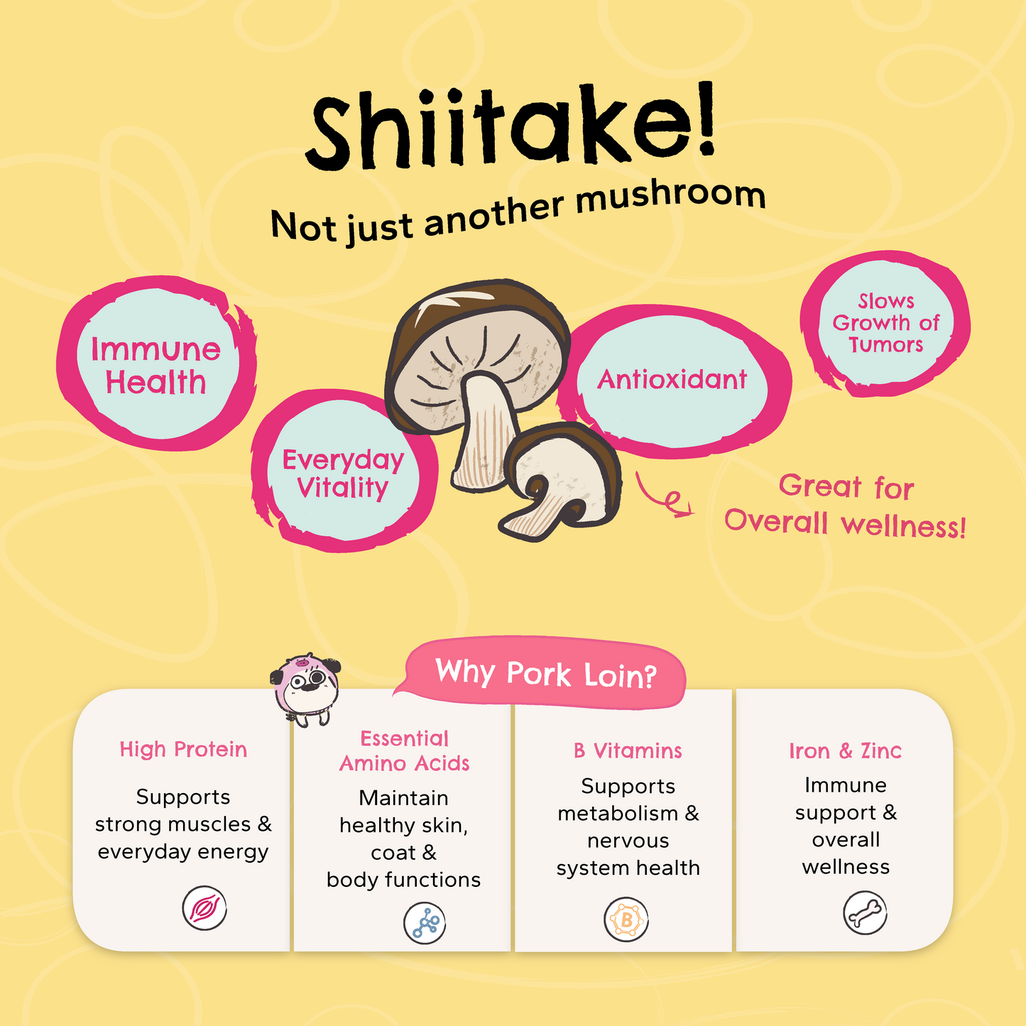 Pork Loin + Shiitake | Everyday Wellness Air-Dried Treats