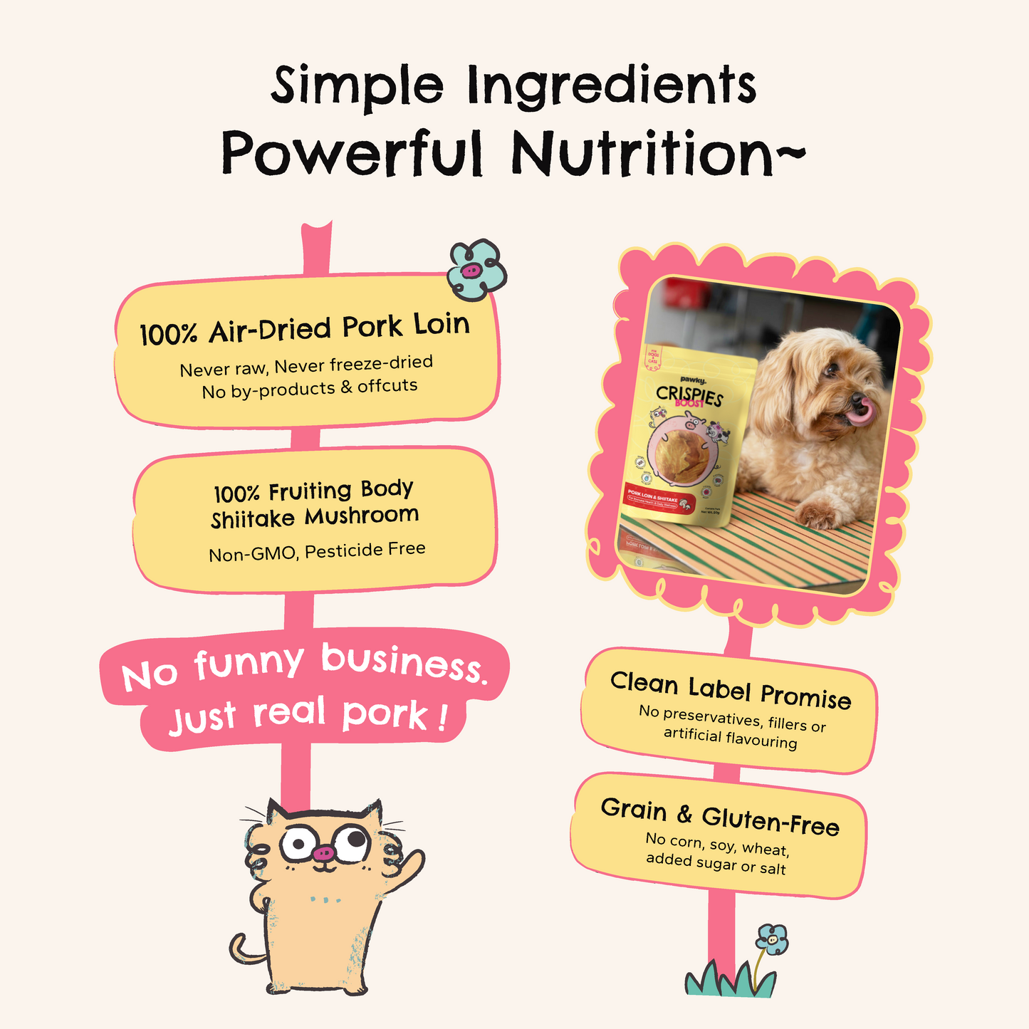 Pork Loin + Shiitake | Everyday Wellness Air-Dried Treats