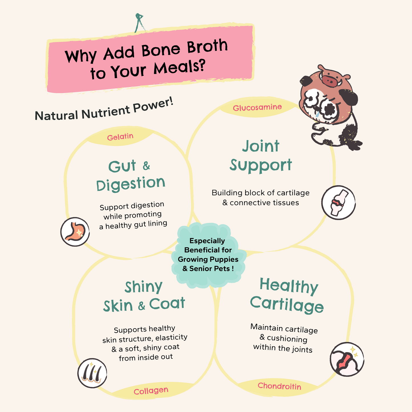Wild Boar Bone Broth - Natural Collagen & Glucosamine for Dogs & Cats