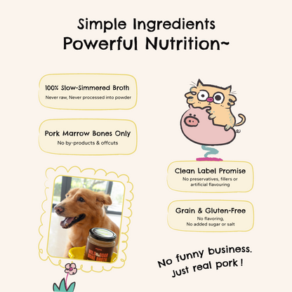Wild Boar Bone Broth - Natural Collagen & Glucosamine for Dogs & Cats