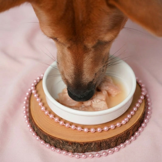 Braised Pork - Pork Slow-Simmered with Bone Broth for Dogs & Cats